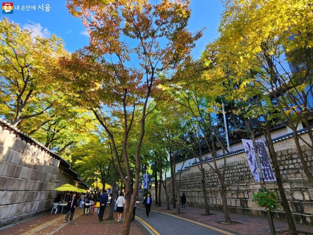 Jeongdong-gil in Autumn